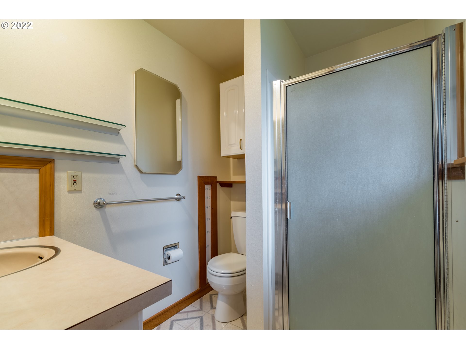 37911 Shenandoah Loop Springfield, OR 97478 - Photo 9 of 32 a bathroom with a toilet and a sink