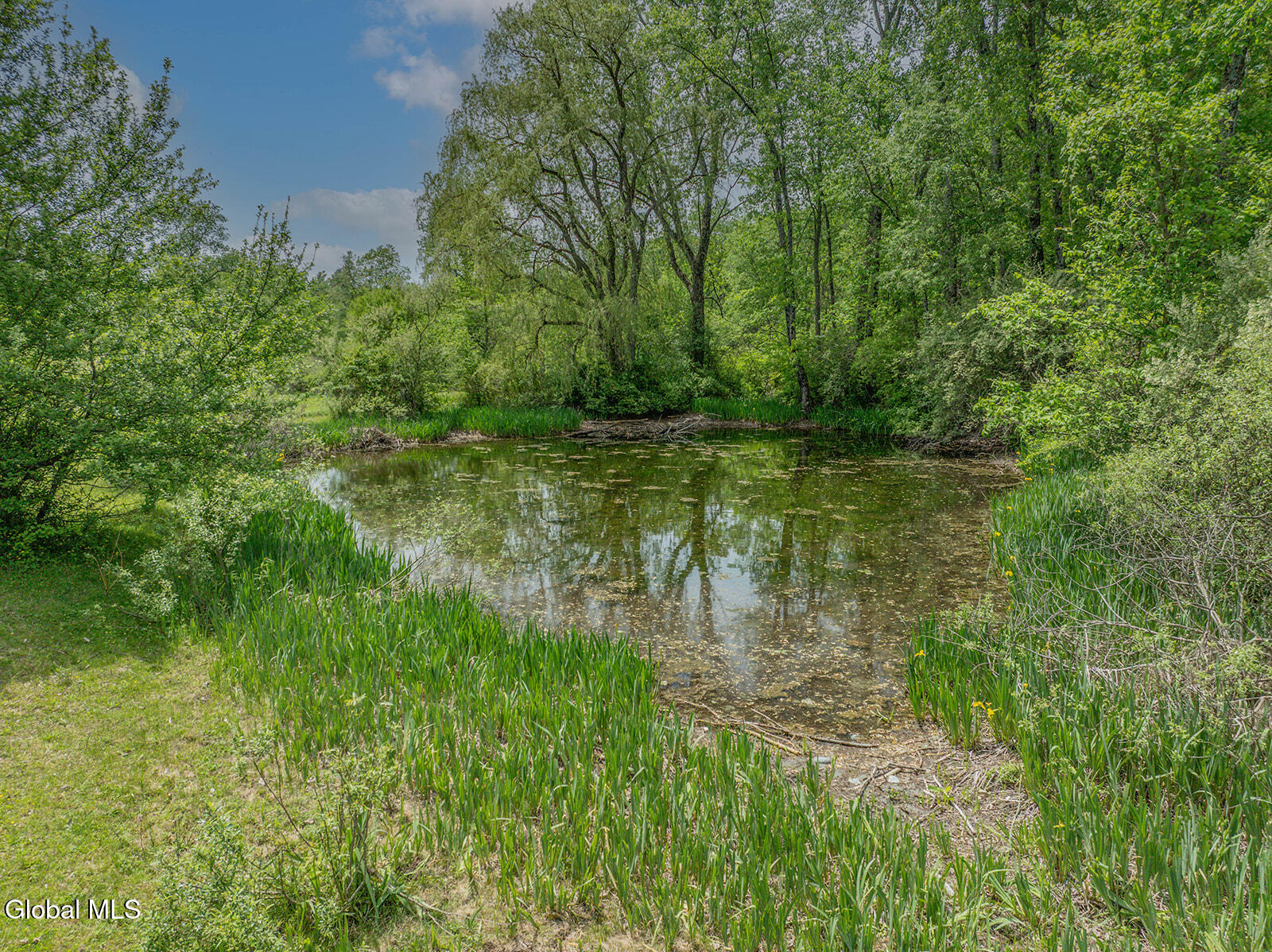 440 Camden Valley Road Salem, NY 12873 - Photo 45 of 50 DJI_0033-Edit