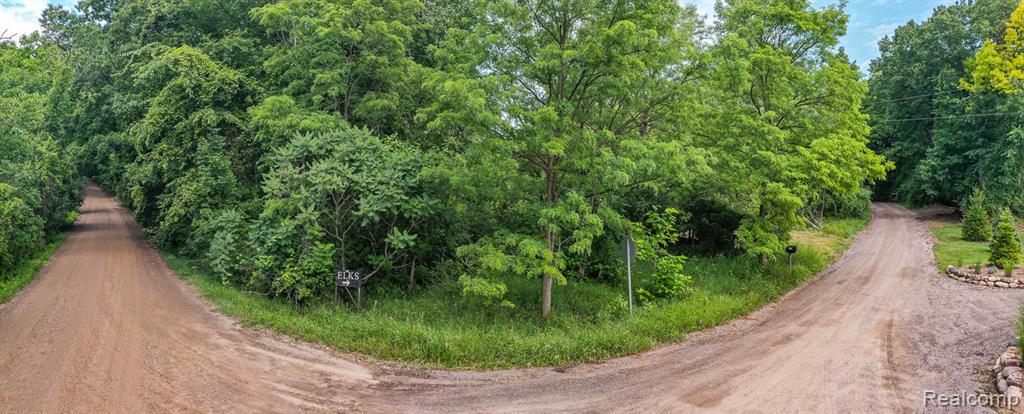 0 Pond Road Leonard, MI 48367 - Photo 3 of 9