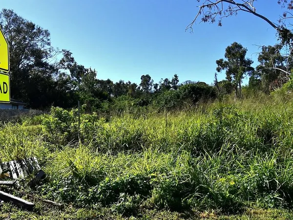 a view of a garden