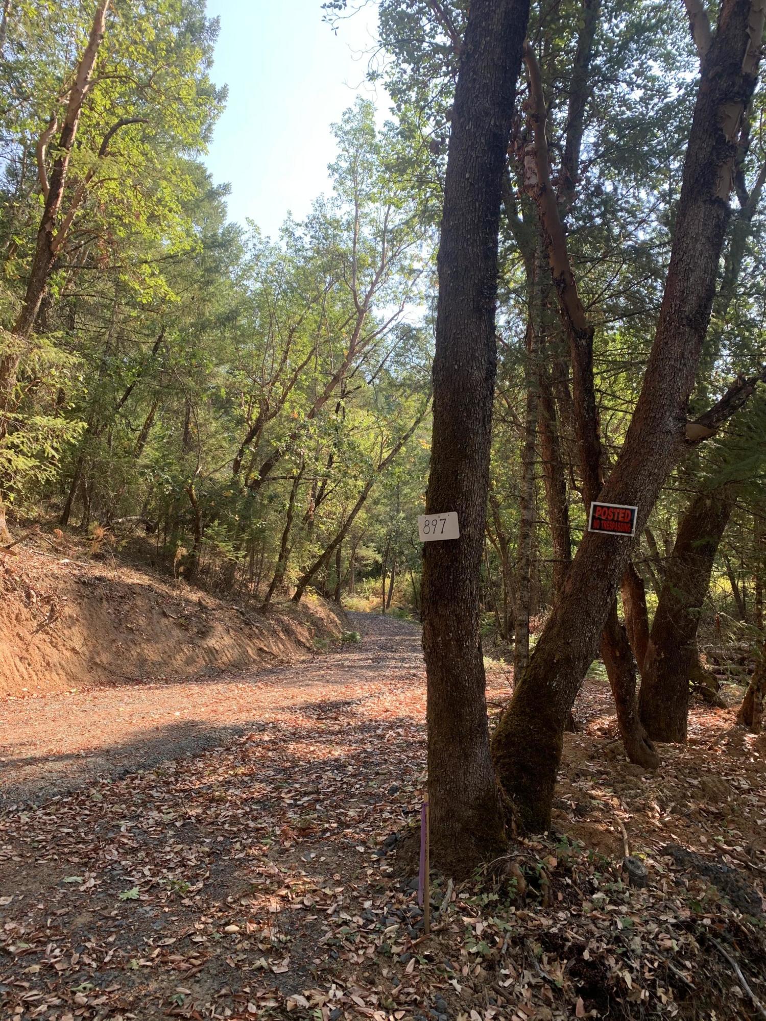 897 Ferry Road Grants Pass, OR 97526 - Photo 8 of 23 Driveway