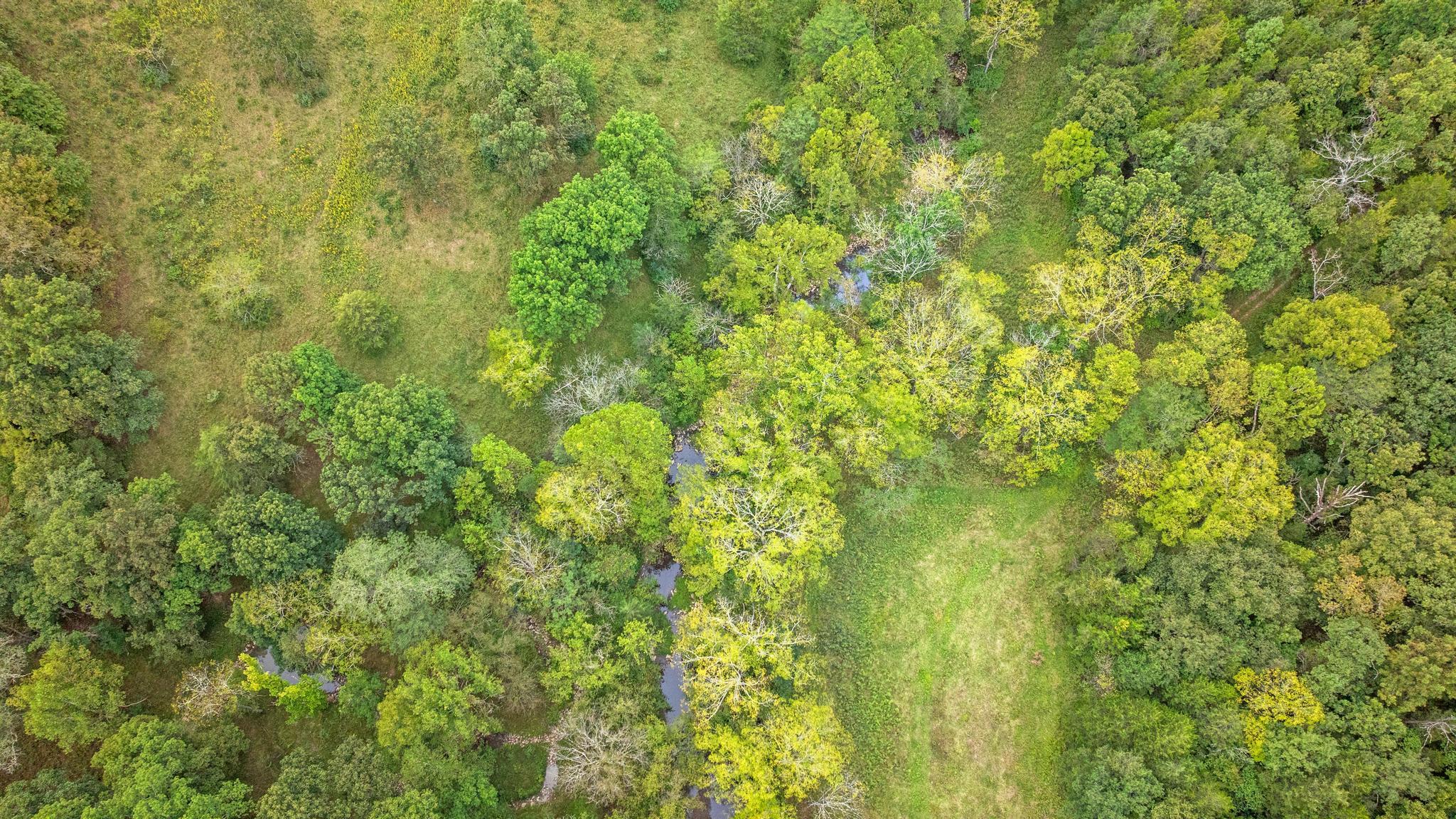 0 New Zion Road Foster, KY 41043 - Photo 12 of 23 DJI_20260830125030_0466_D