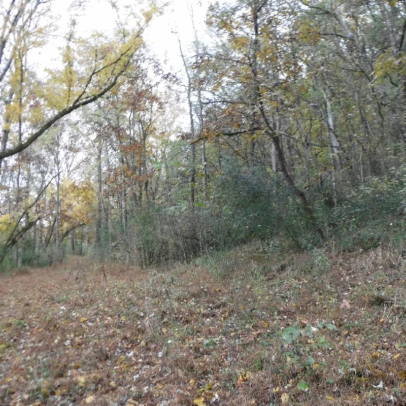 10.09 Ben Gentry Road Elmwood, TN 38560 - Photo 2 of 40 BUILDING SITE 2