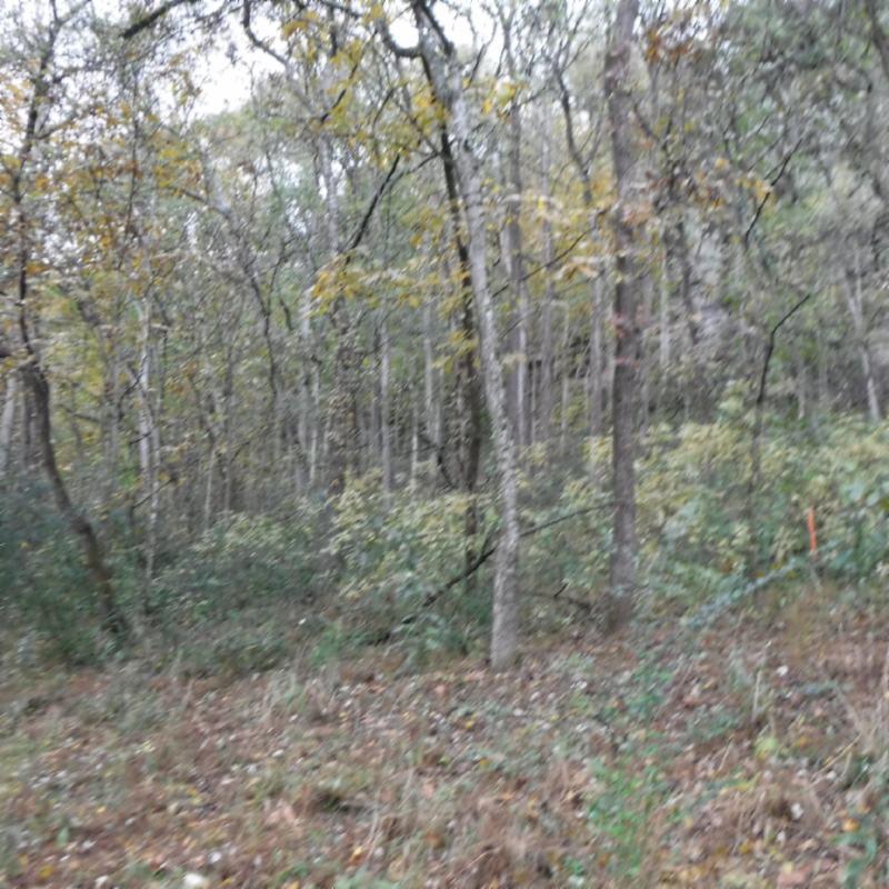10.09 Ben Gentry Road Elmwood, TN 38560 - Photo 12 of 40 DSCF1511