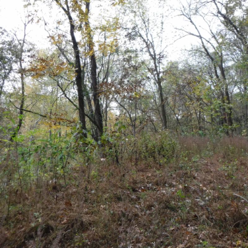 10.09 Ben Gentry Road Elmwood, TN 38560 - Photo 14 of 40 DSCF1517