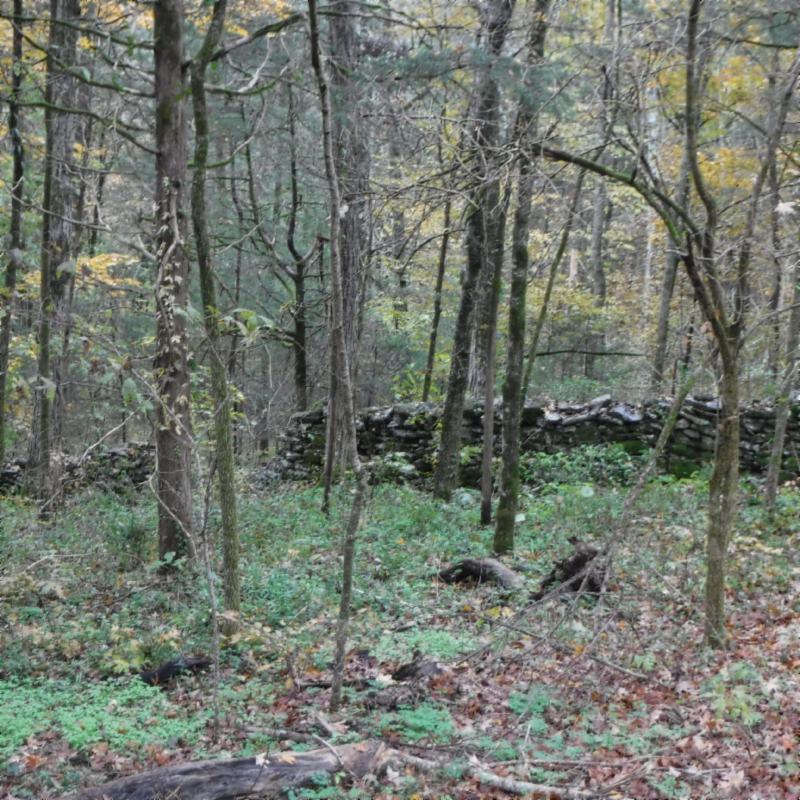 10.09 Ben Gentry Road Elmwood, TN 38560 - Photo 15 of 40 DSCF1601