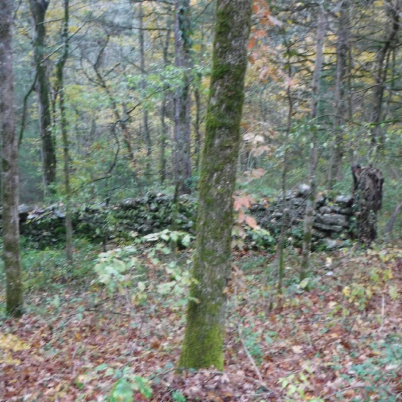 10.09 Ben Gentry Road Elmwood, TN 38560 - Photo 17 of 40 OLD FARMERS ROCK FENCE GOOD
