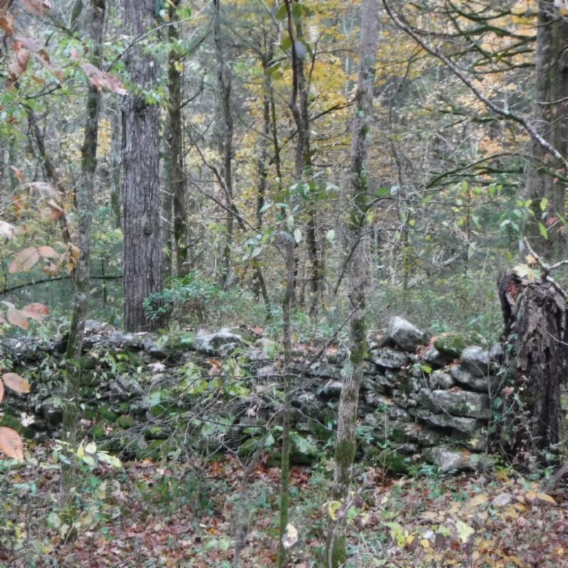 10.09 Ben Gentry Road Elmwood, TN 38560 - Photo 18 of 40 OLD ROCK FARMERS FENCE GOOD
