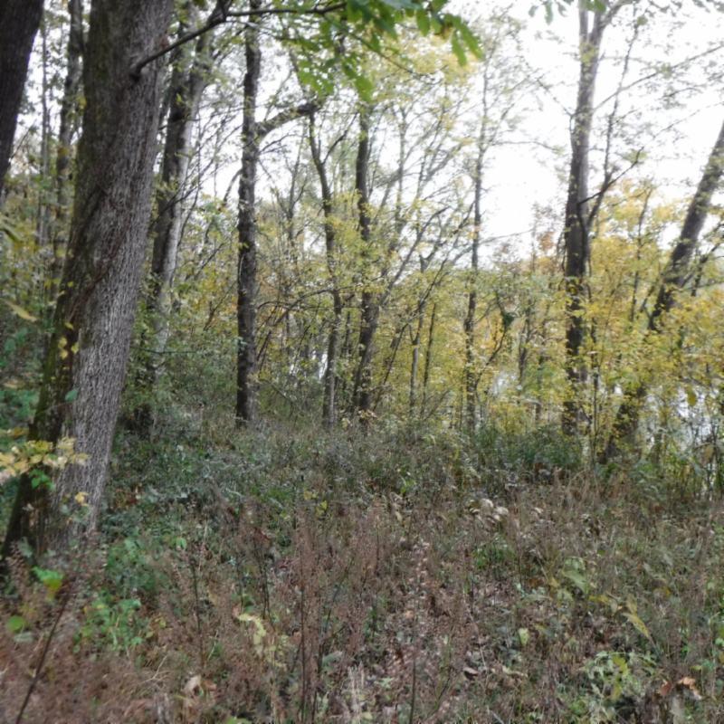 10.09 Ben Gentry Road Elmwood, TN 38560 - Photo 3 of 40 AT THE RIVER