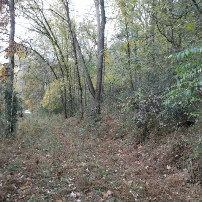 10.09 Ben Gentry Road Elmwood, TN 38560 - Photo 21 of 40 ROAD AT THE RIVER