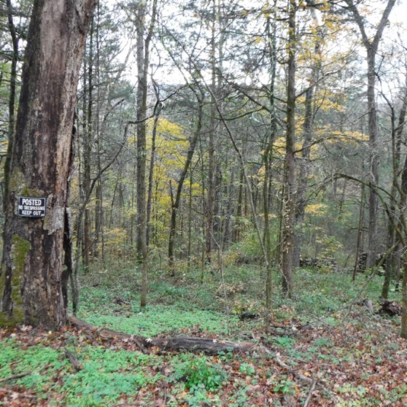 10.09 Ben Gentry Road Elmwood, TN 38560 - Photo 25 of 40 USE 6