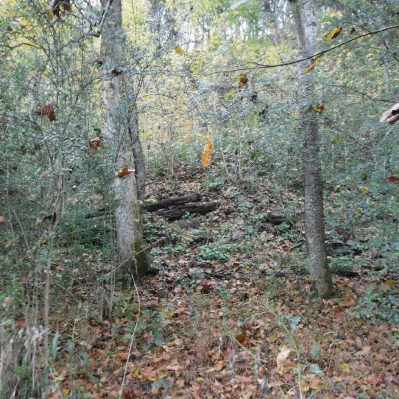 10.09 Ben Gentry Road Elmwood, TN 38560 - Photo 26 of 40 USSE 5