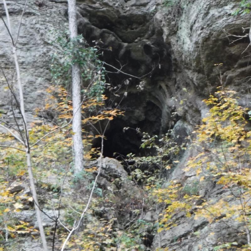 10.09 Ben Gentry Road Elmwood, TN 38560 - Photo 4 of 40 BEST OF CAVE