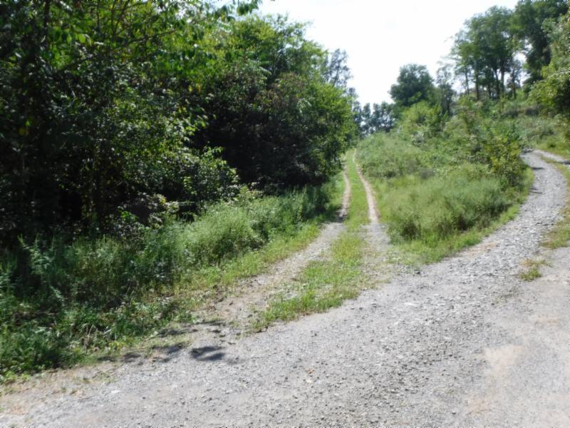 10.09 Ben Gentry Road Elmwood, TN 38560 - Photo 32 of 40 09102018 003