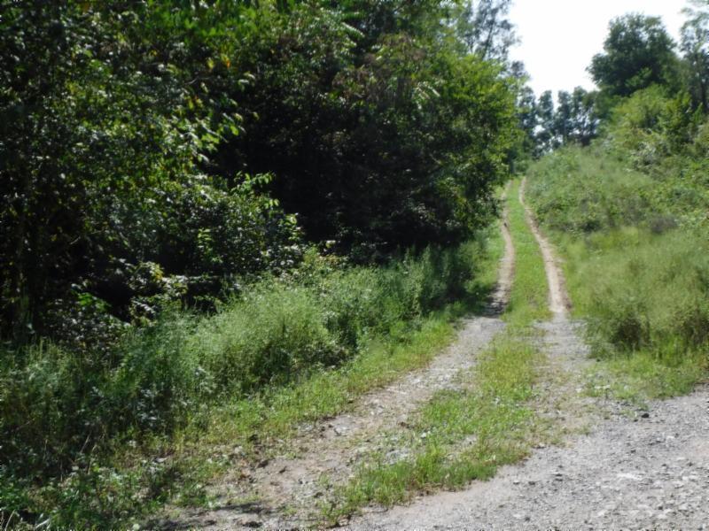 10.09 Ben Gentry Road Elmwood, TN 38560 - Photo 33 of 40 09102018 004