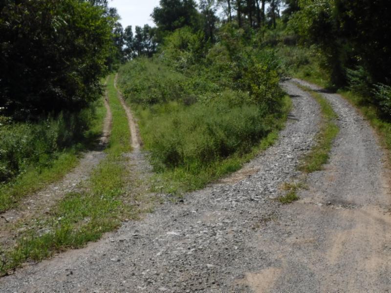 10.09 Ben Gentry Road Elmwood, TN 38560 - Photo 34 of 40 09102018 005