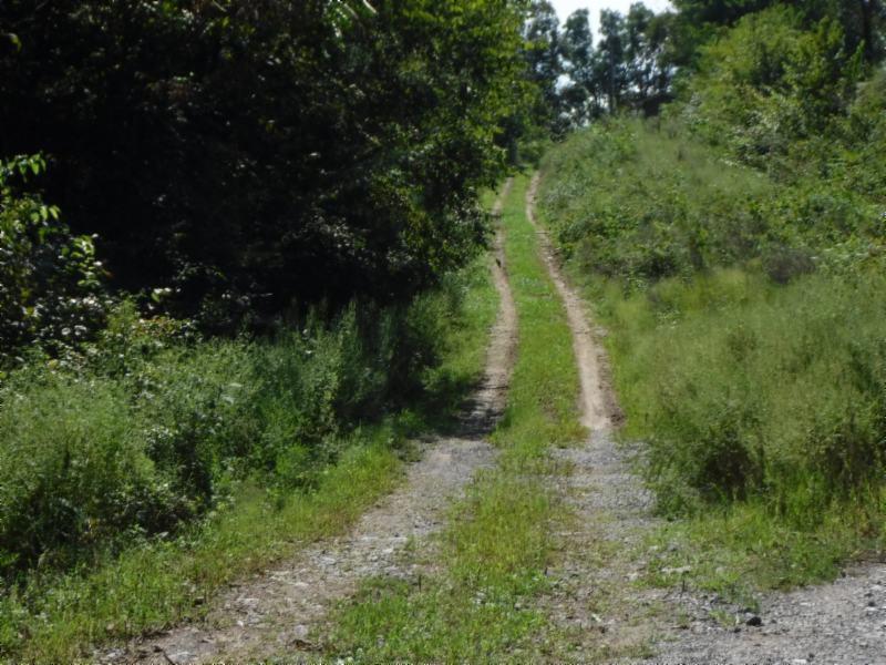 10.09 Ben Gentry Road Elmwood, TN 38560 - Photo 35 of 40 09102018 006