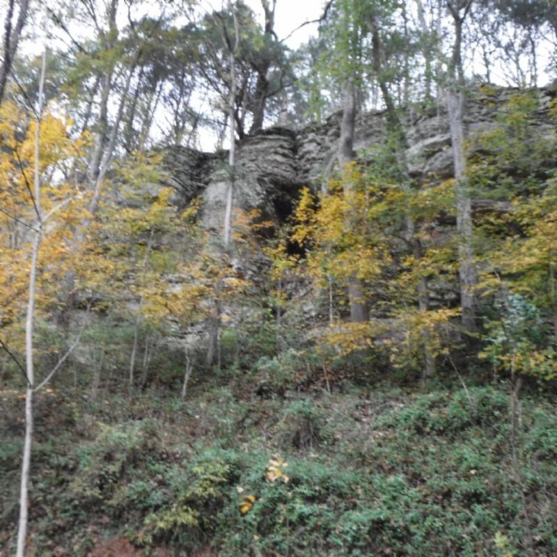 10.09 Ben Gentry Road Elmwood, TN 38560 - Photo 5 of 40 BLUFF SITE 1