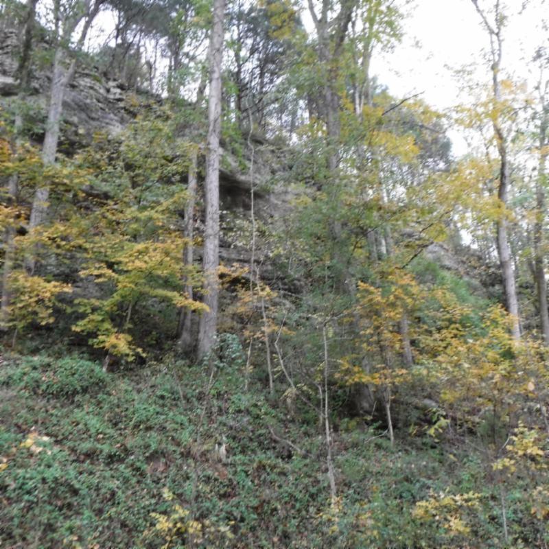 10.09 Ben Gentry Road Elmwood, TN 38560 - Photo 6 of 40 BLUFF SITE 3