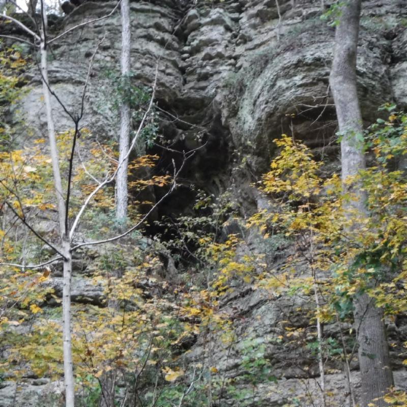 10.09 Ben Gentry Road Elmwood, TN 38560 - Photo 7 of 40 CAVE 1