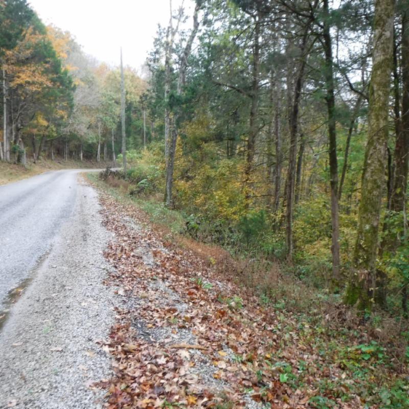 10.09 Ben Gentry Road Elmwood, TN 38560 - Photo 8 of 40 CO ROAD FRONTAGE