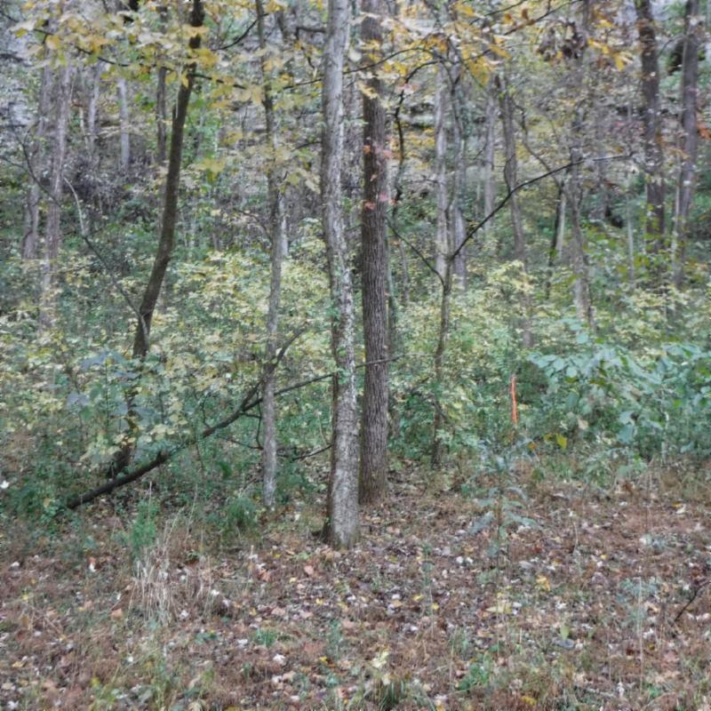10.09 Ben Gentry Road Elmwood, TN 38560 - Photo 10 of 40 DSCF1504