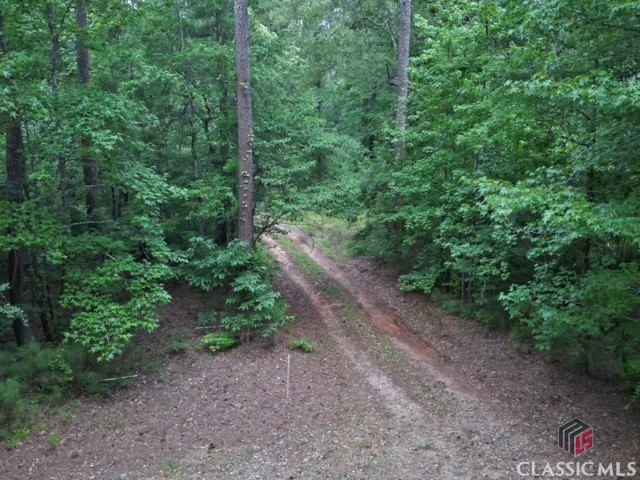 1070 Washington Road Athens, GA 30605 - Photo 13 of 26 Gallery Image 13
