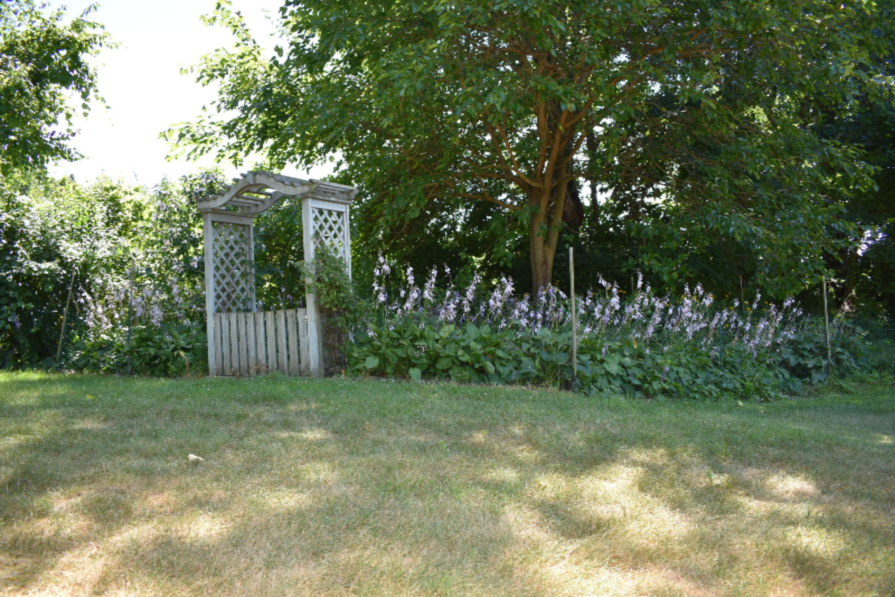 65015 Cassopolis Road Cassopolis, MI 49031 - Photo 47 of 64 DSC_0156