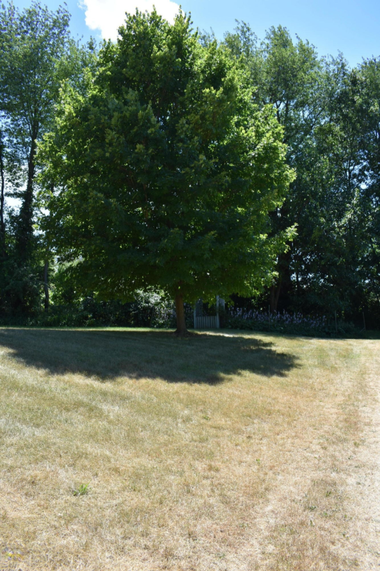 65015 Cassopolis Road Cassopolis, MI 49031 - Photo 54 of 64 DSC_0151