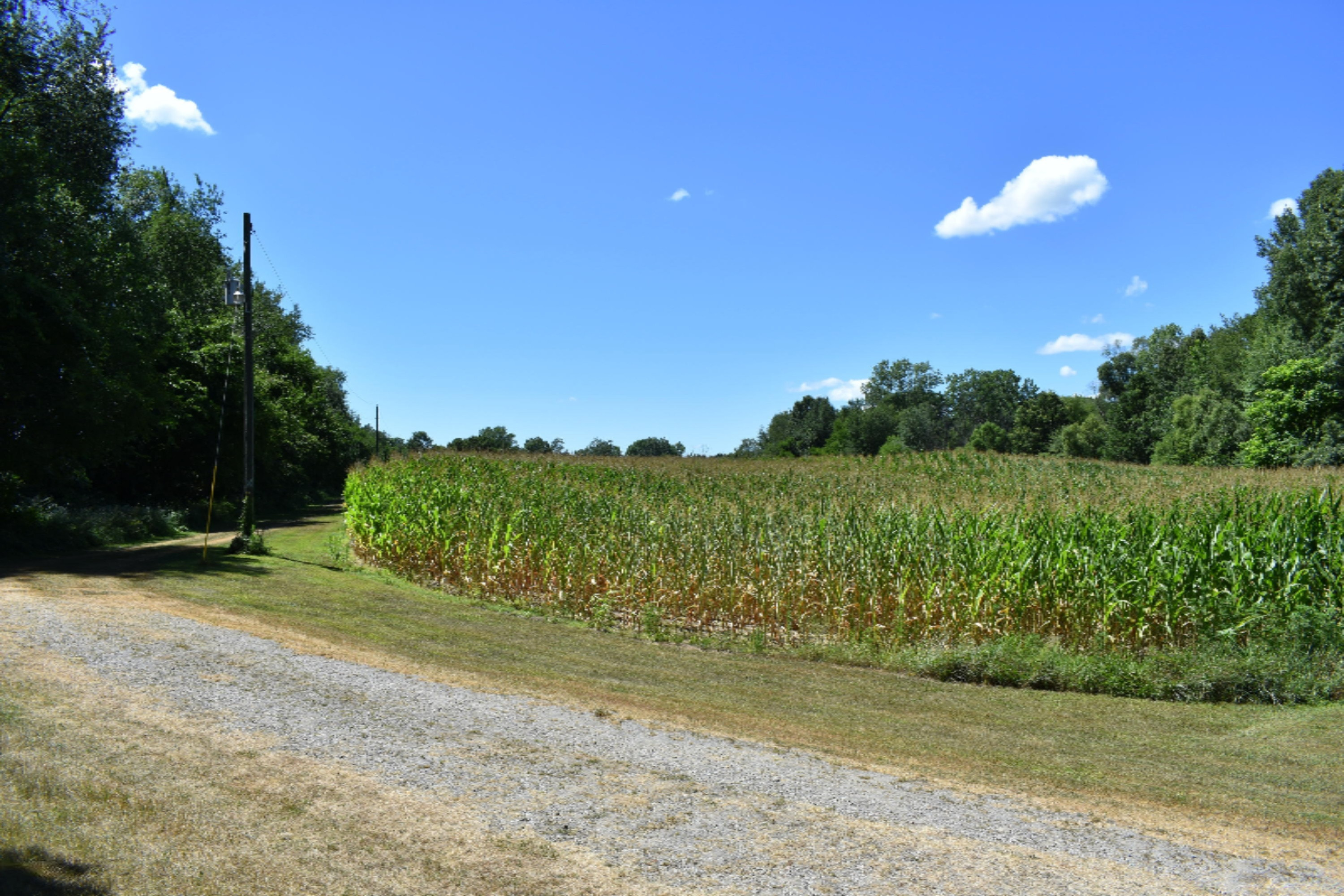 65015 Cassopolis Road Cassopolis, MI 49031 - Photo 55 of 64 DSC_0152