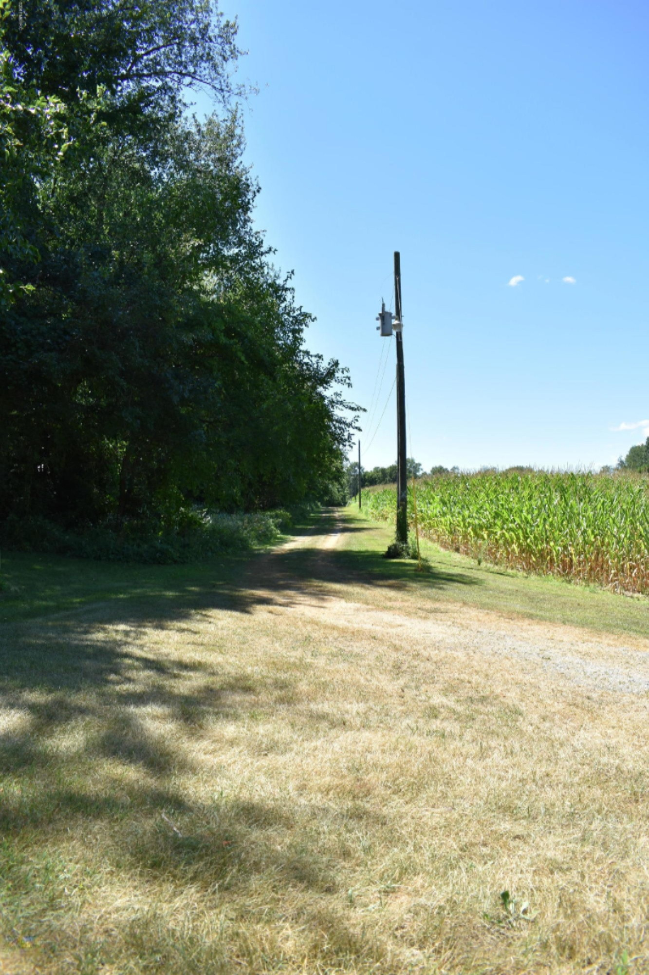 65015 Cassopolis Road Cassopolis, MI 49031 - Photo 56 of 64 DSC_0154