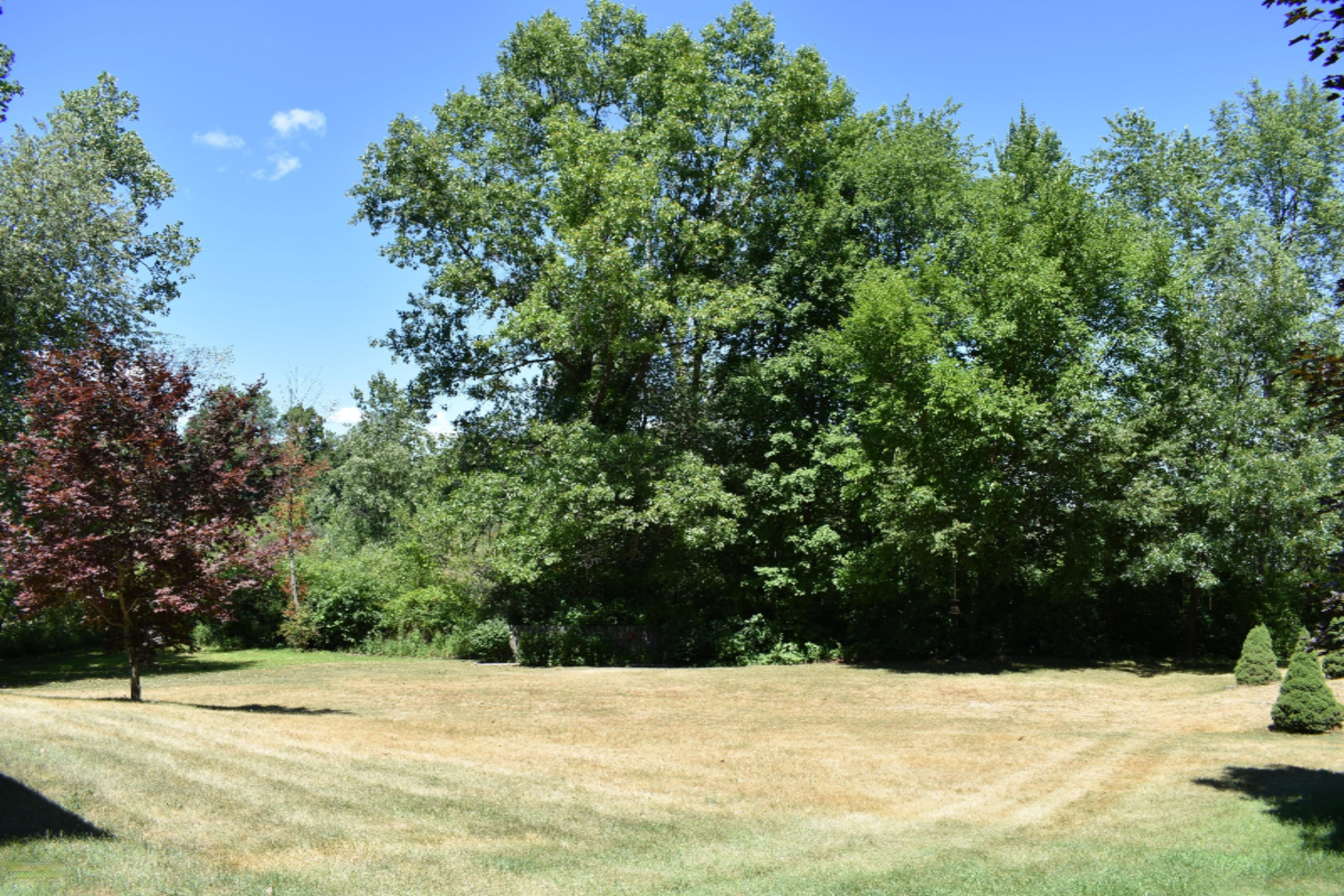65015 Cassopolis Road Cassopolis, MI 49031 - Photo 58 of 64 DSC_0162