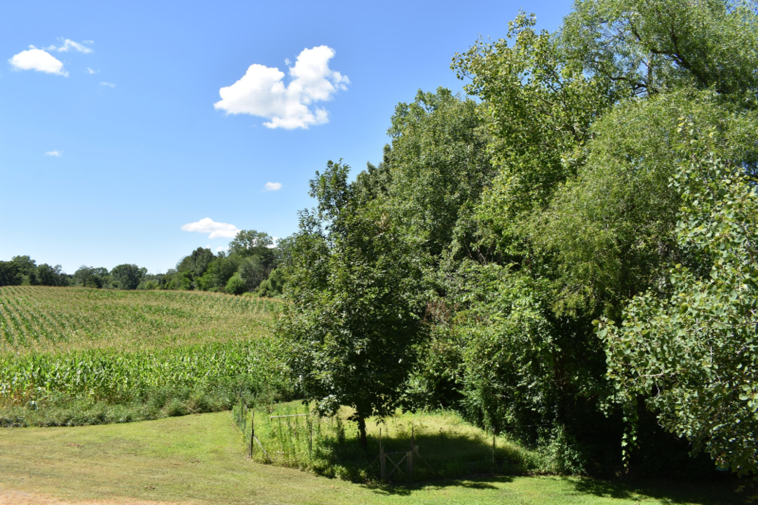 65015 Cassopolis Road Cassopolis, MI 49031 - Photo 62 of 64 DSC_0173