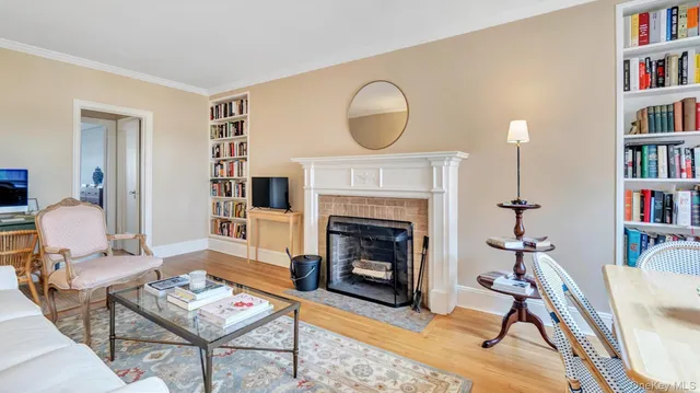 a living room with furniture a rug and a fireplace