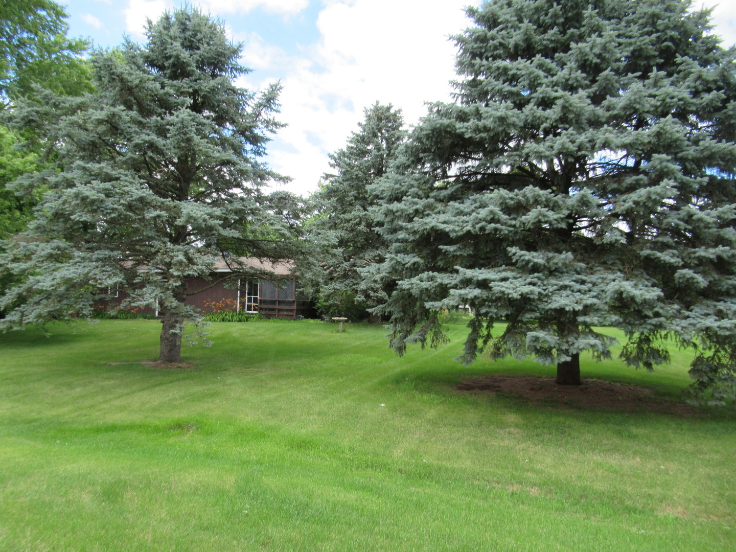 1N321 Country Life Drive Maple Park, IL 60151 - Photo 50 of 53