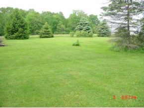 171 Kales Hill Road Whitney Point, NY 13862 - Photo 5 of 12
