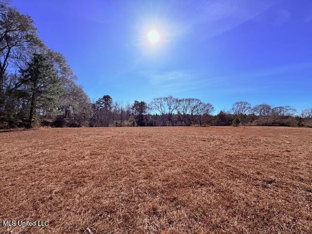 Tbd Sims Thornhill Road Tylertown, MS 39667 - Photo 11 of 31 IMG_2002