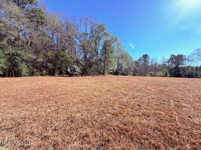 Tbd Sims Thornhill Road Tylertown, MS 39667 - Photo 12 of 31 IMG_2003