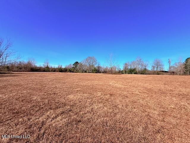 Tbd Sims Thornhill Road Tylertown, MS 39667 - Photo 13 of 31 IMG_2004