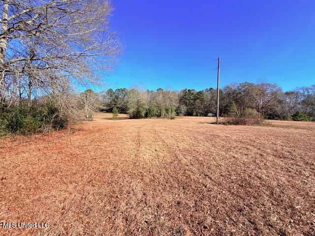 Tbd Sims Thornhill Road Tylertown, MS 39667 - Photo 15 of 31 IMG_2006