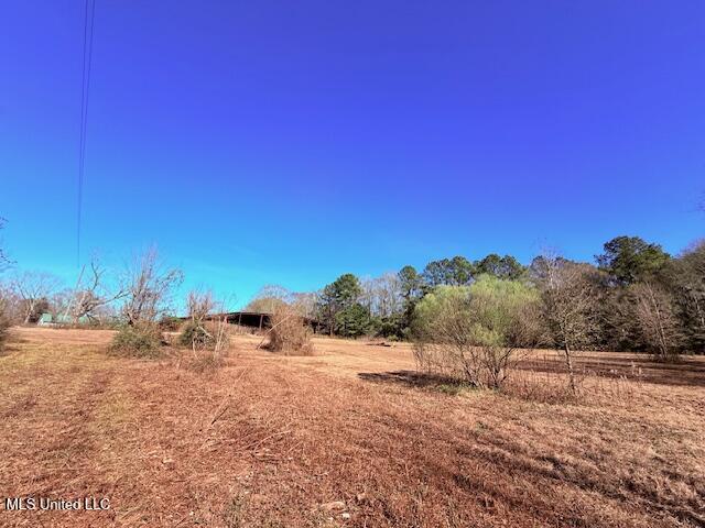 Tbd Sims Thornhill Road Tylertown, MS 39667 - Photo 16 of 31 IMG_2007