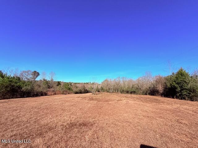 Tbd Sims Thornhill Road Tylertown, MS 39667 - Photo 18 of 31 IMG_2009