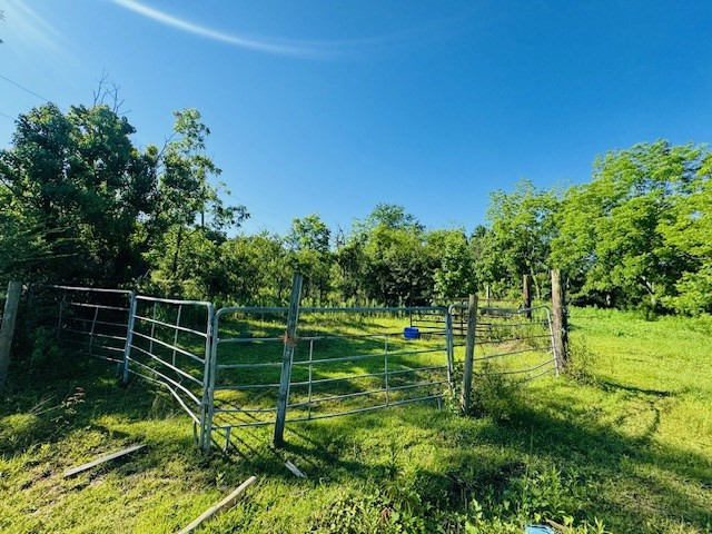 Tbd Sims Thornhill Road Tylertown, MS 39667 - Photo 19 of 31 Photo 6