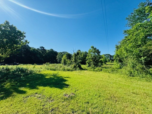 Tbd Sims Thornhill Road Tylertown, MS 39667 - Photo 20 of 31 Photo 8