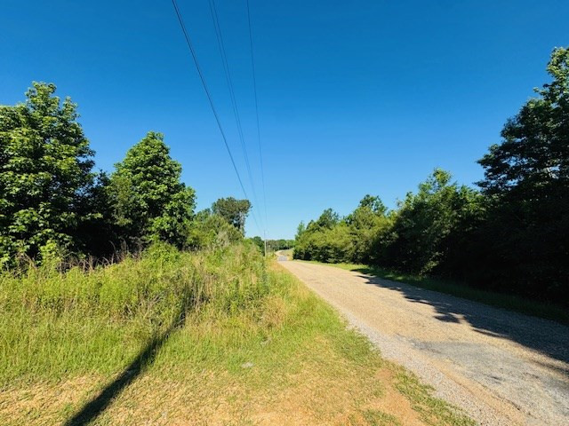 Tbd Sims Thornhill Road Tylertown, MS 39667 - Photo 2 of 31 Photo 3