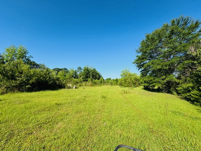 Tbd Sims Thornhill Road Tylertown, MS 39667 - Photo 21 of 31 Photo 18