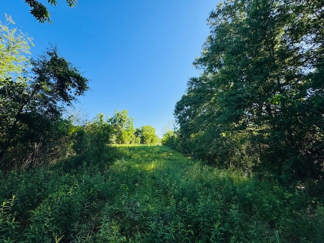 Tbd Sims Thornhill Road Tylertown, MS 39667 - Photo 23 of 31 Photo 26