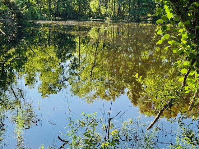 Tbd Sims Thornhill Road Tylertown, MS 39667 - Photo 25 of 31 Photo 29