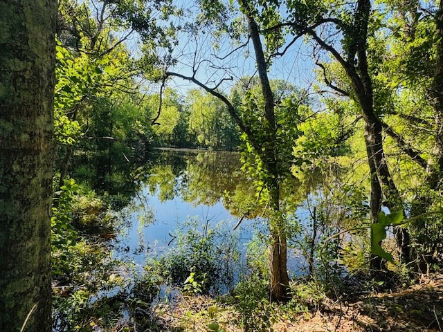 Tbd Sims Thornhill Road Tylertown, MS 39667 - Photo 26 of 31 Photo 30