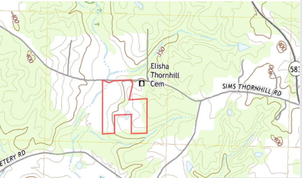 Tbd Sims Thornhill Road Tylertown, MS 39667 - Photo 29 of 31 Photo 21